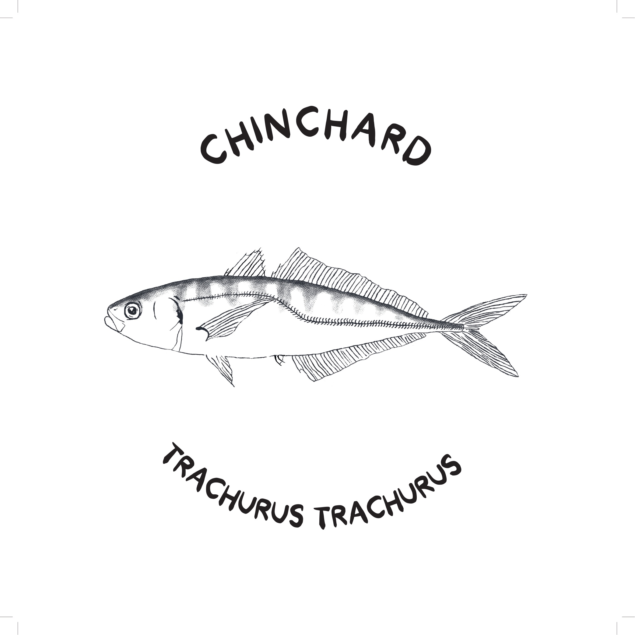 Chinchard