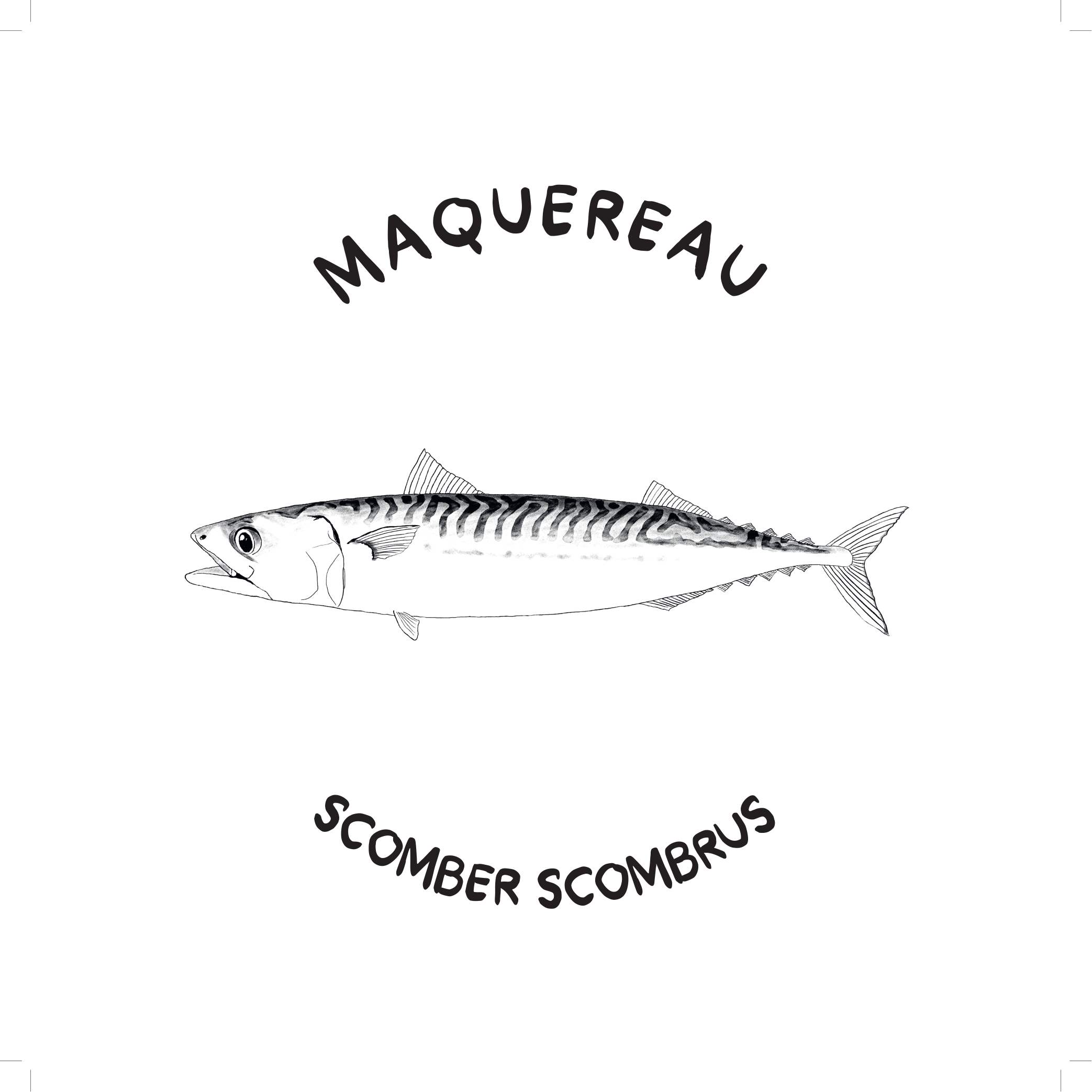 Maquereau