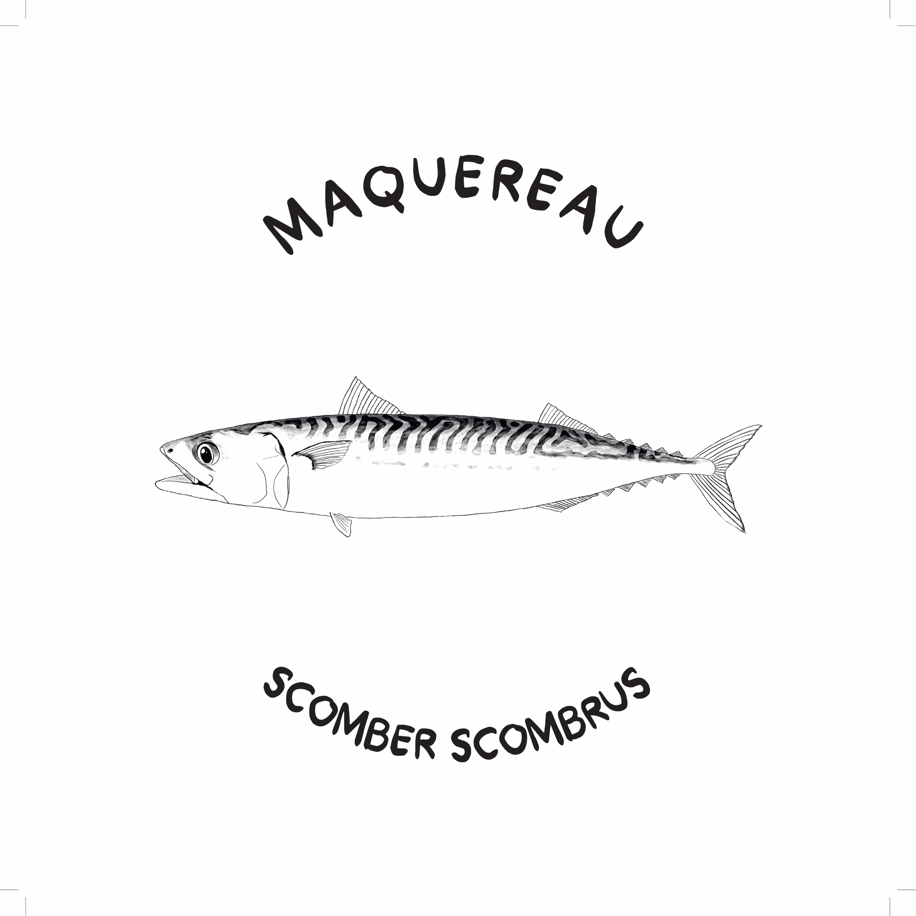 Maquereau