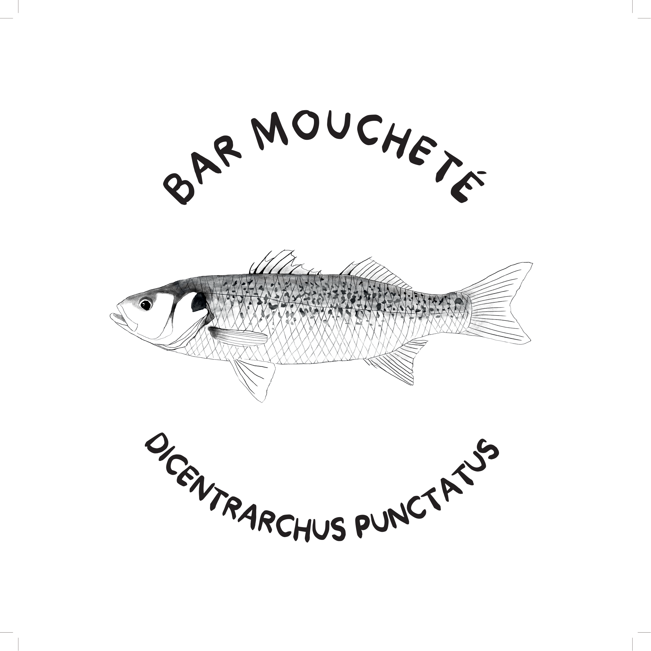 Bar moucheté