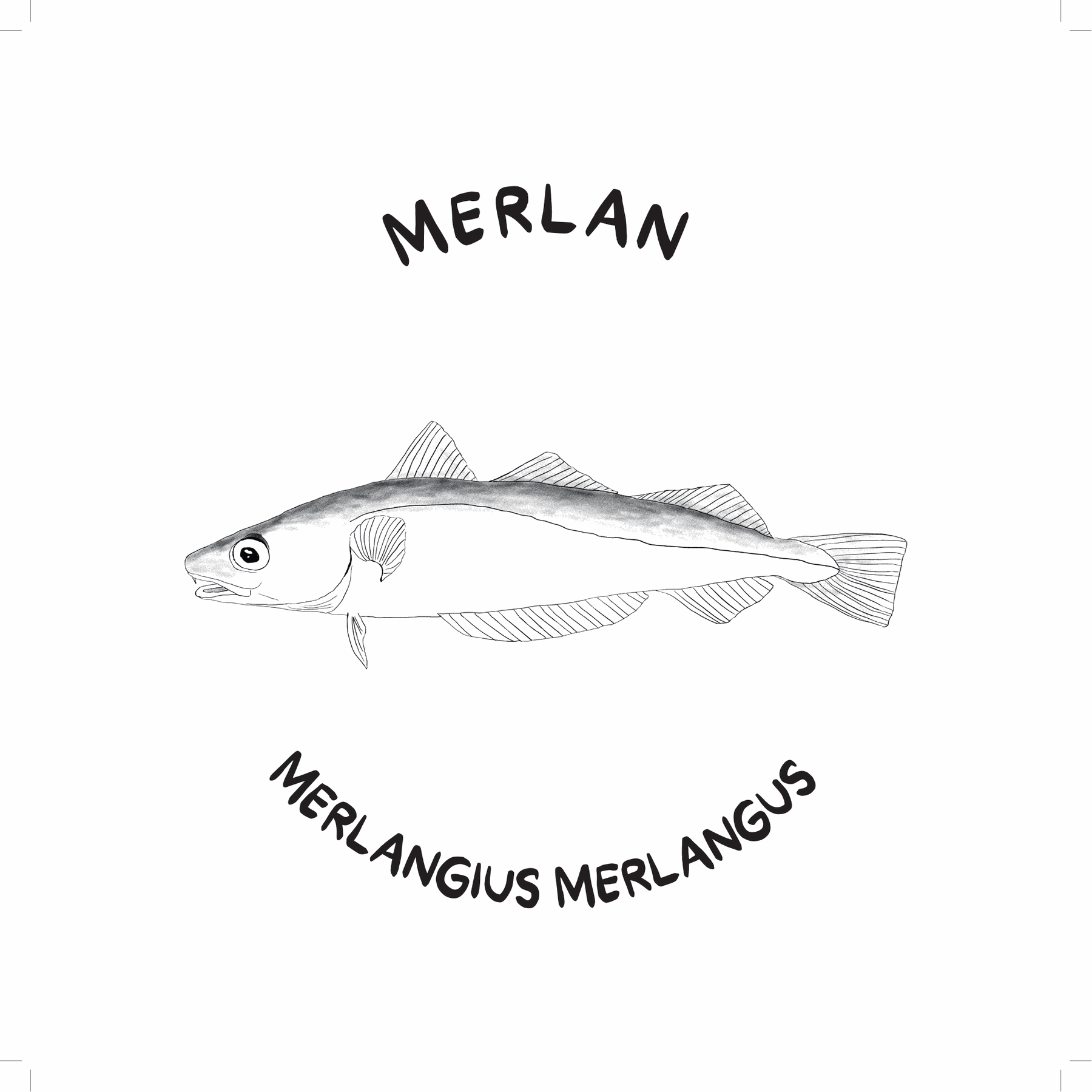 Merlan