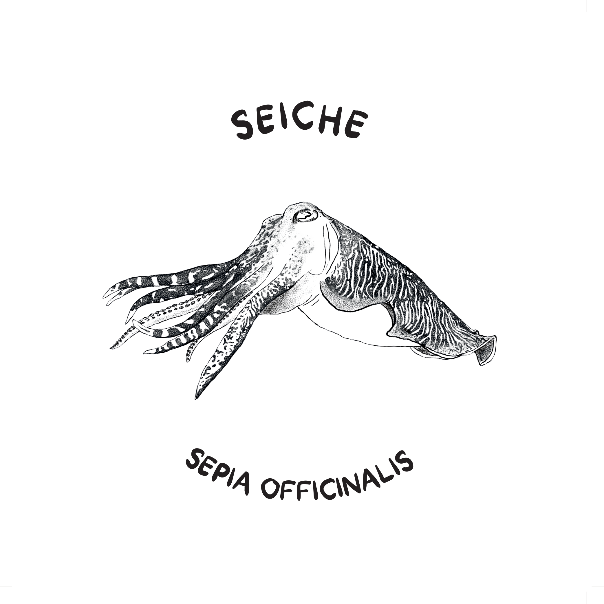 Seiche