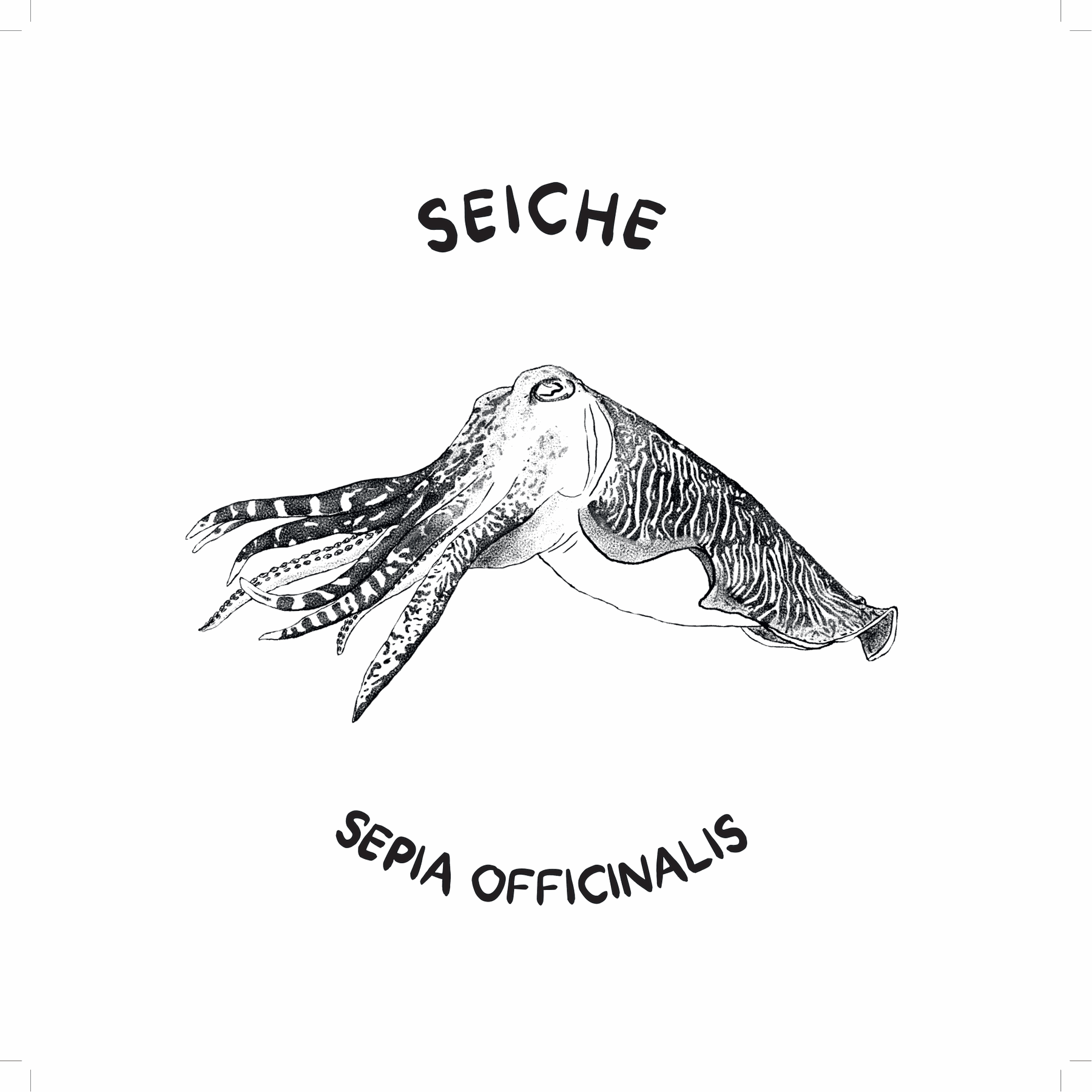 Seiche