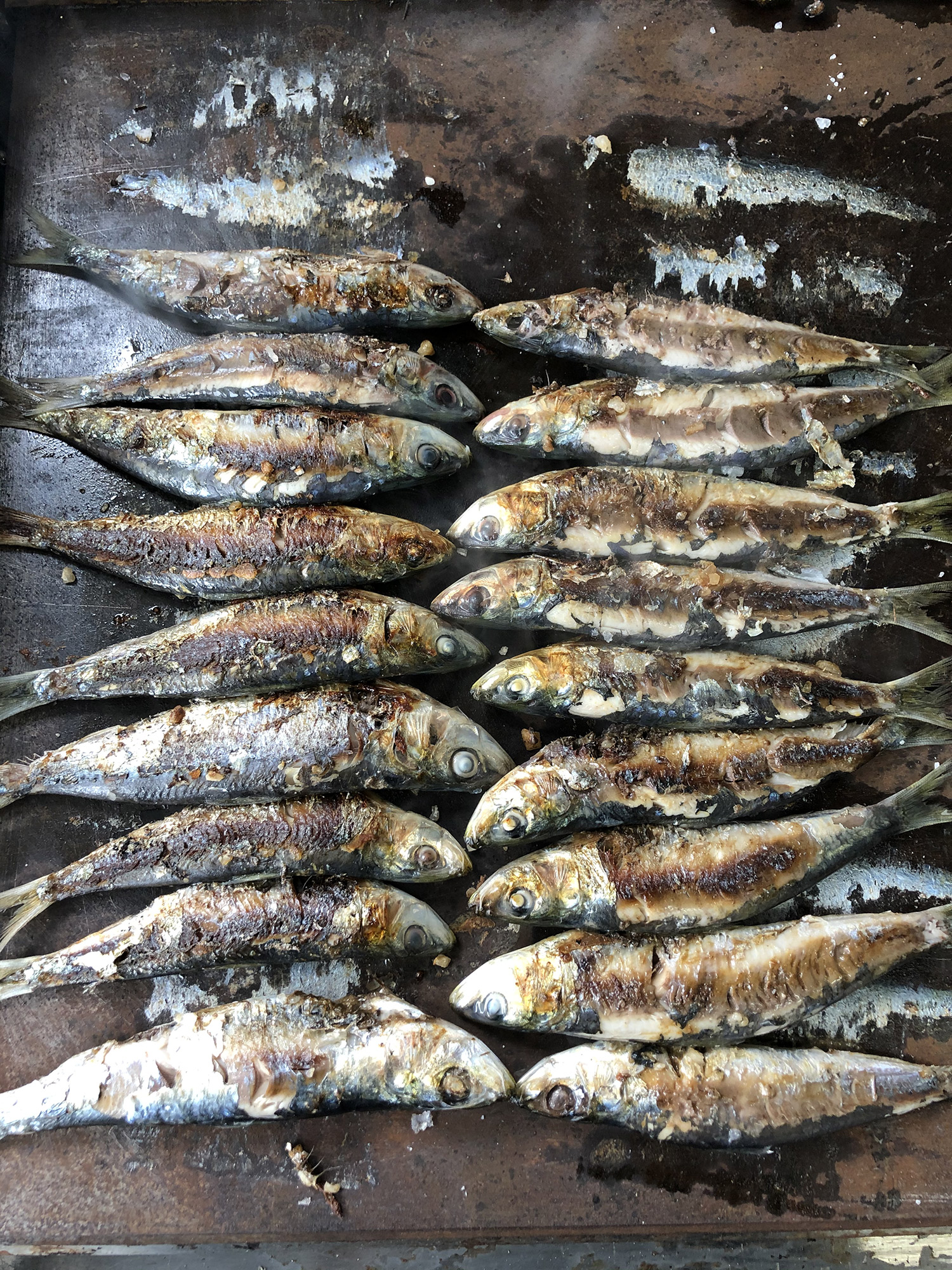 Passion Sardines