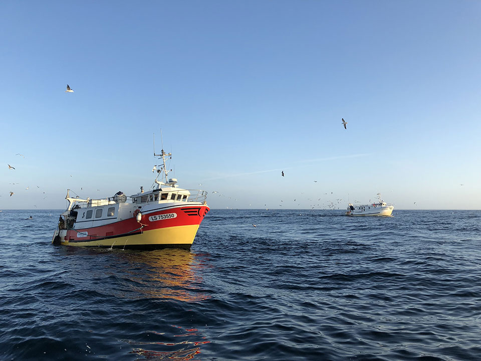 Bateaux de Saint-Gilles-Croix-de-Vie en pêche à la sardine 