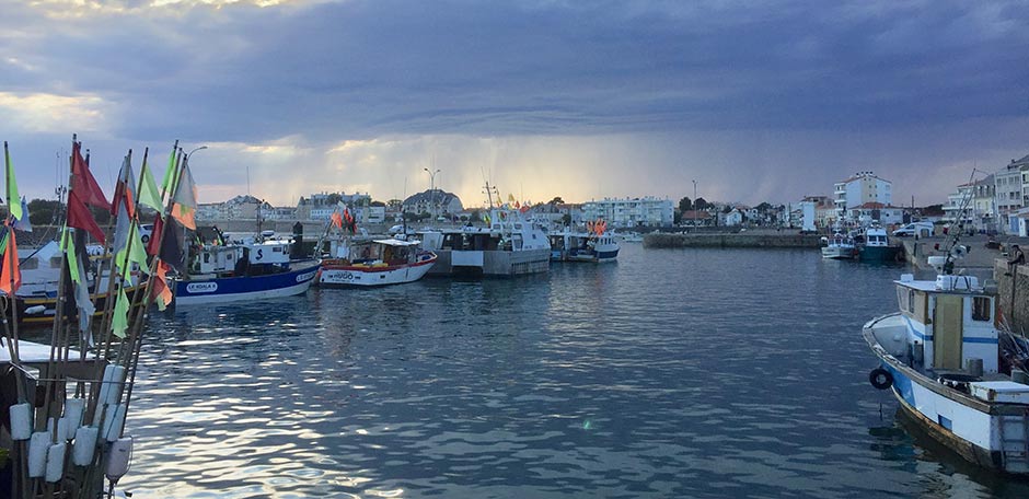 Baraque à sardines Saint-Gilles-Croix-de-Vie - Sardines et poissons Grillés à la plancha